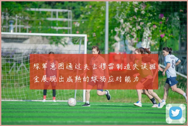 绿军意图通过夹击穆雷制造失误掘金展现出成熟的球场应对能力